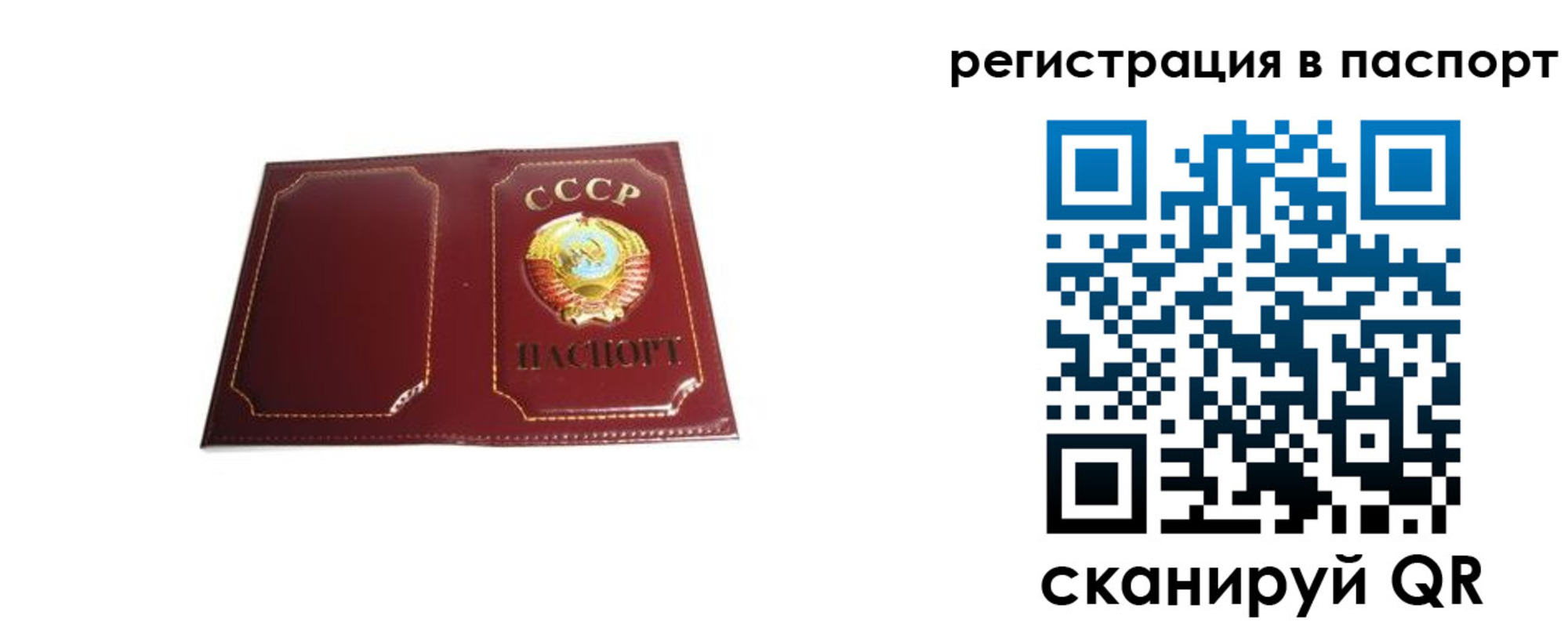 прописка 2025 в Сочи